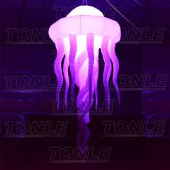inflatable jellyfish