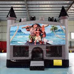 castle inflatable bouncer