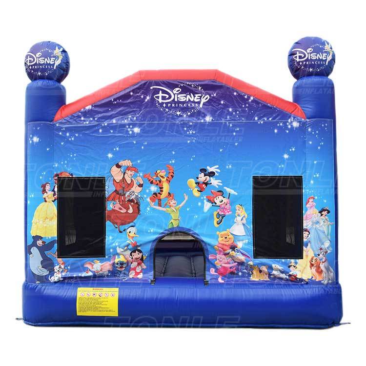 mickey castle