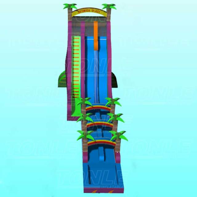 large custom outdoor factory wholesale inflatable plam tree double slideway water slide with pool