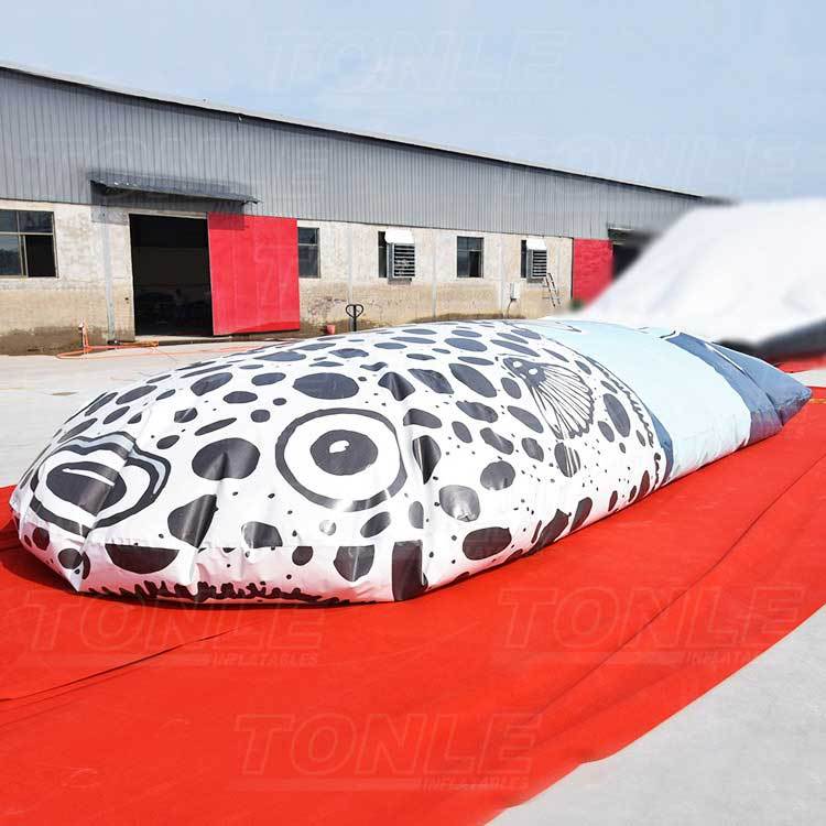 inflatable fish jump bag