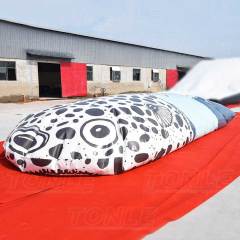 inflatable fish jump bag