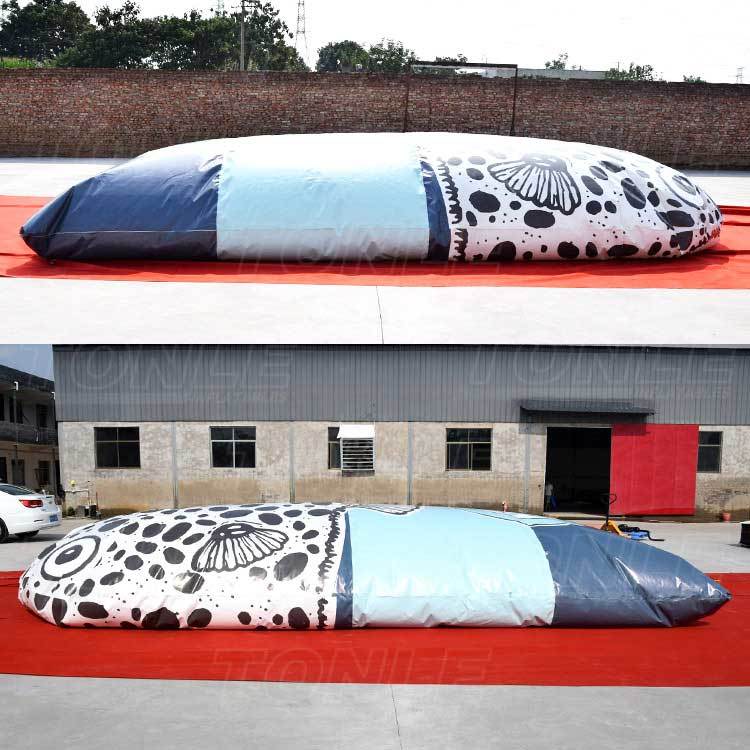 inflatable fish jump bag