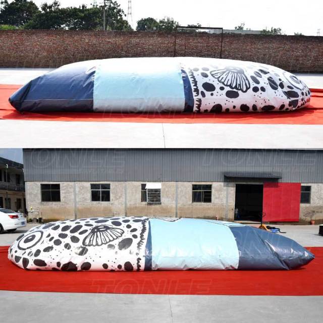 inflatable fish jump bag