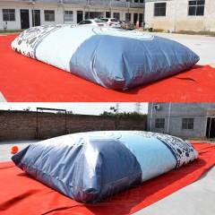 inflatable fish jump bag
