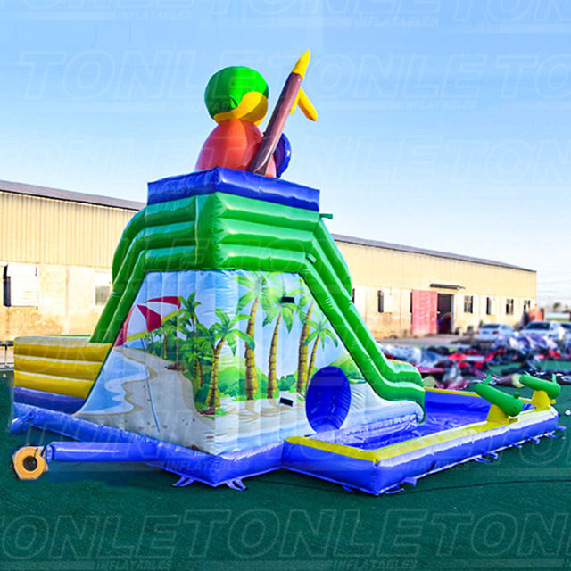 Custom small family backyard inflatable water slide with pool and small water gun for sale