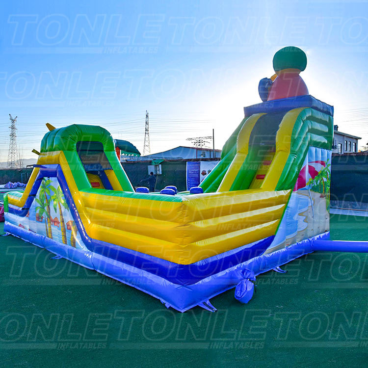 Custom small family backyard inflatable water slide with pool and small water gun for sale