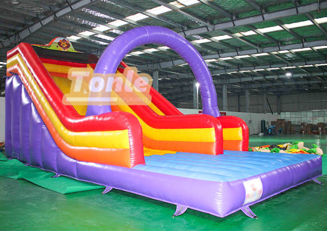 Little lion inflatable dry slide for sale