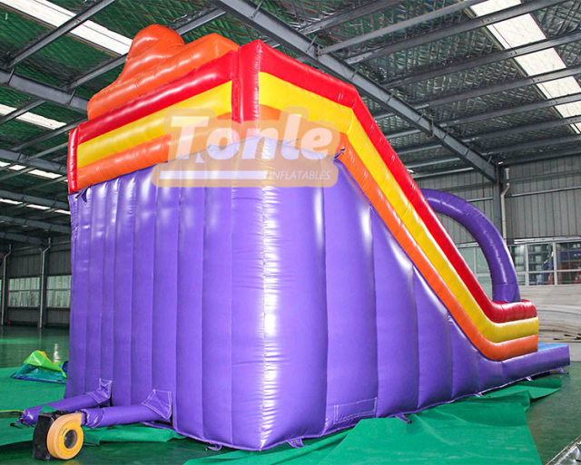 Little lion inflatable dry slide for sale