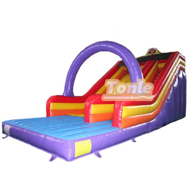 Little lion inflatable dry slide for sale