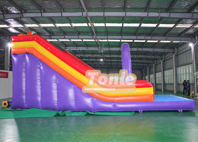 Little lion inflatable dry slide for sale