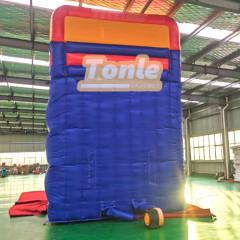 classic inflatable water slide with pool for sale