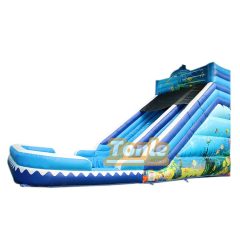 Factory custom cheap multi-style ocean theme with swimming pool inflatable water slide