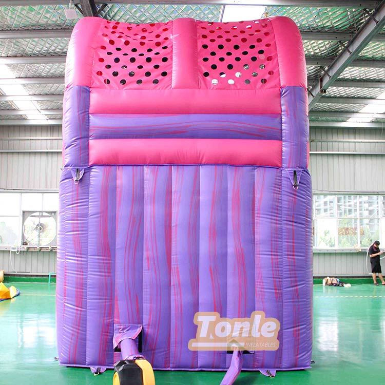 32FT Purple colorful water slide