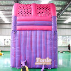 32FT Purple colorful water slide