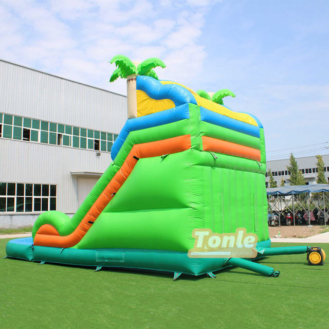 Tropical palm tree themed water slide with pool