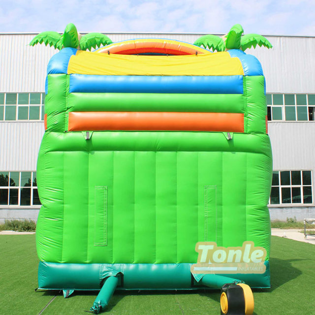 Tropical palm tree themed water slide with pool