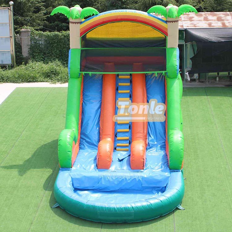 Tropical palm tree themed water slide with pool