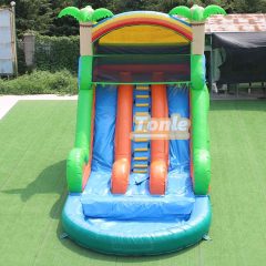 Tropical palm tree themed water slide with pool