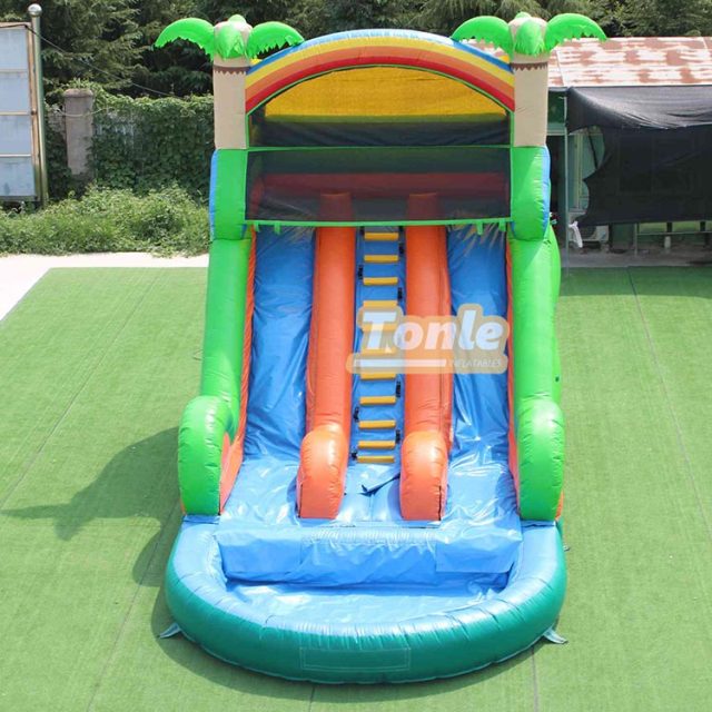 Tropical palm tree themed water slide with pool