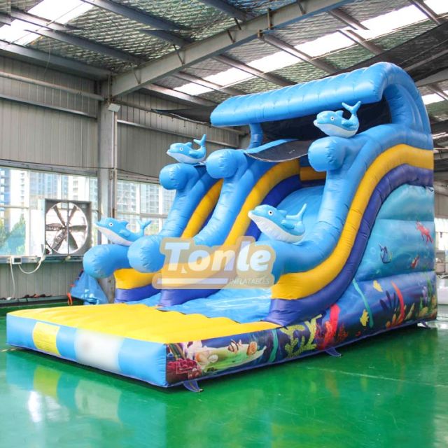 Ocean themed inflatable dry slide