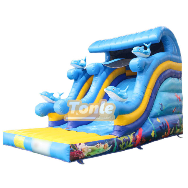 Ocean themed inflatable dry slide