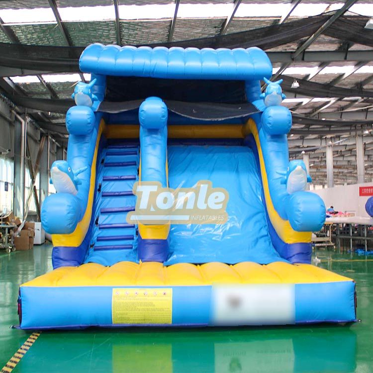 Ocean themed inflatable dry slide