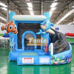 Clownfish Underwater world themed bouncy castle combo