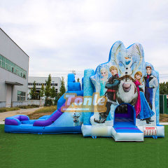 Disney Frozen Themed Inflatable Bounce House Water Slide Combo