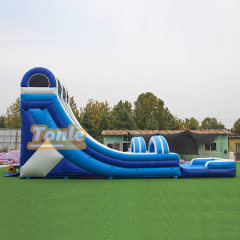 Factory wholesale double slide inflatable water slide