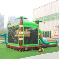 Jurassic Dinosaur Tyrannosaurus Rex theme inflatable dry wet combo