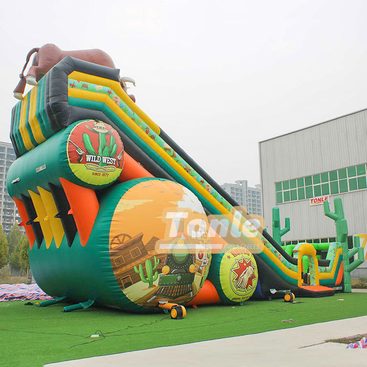 65*33FT Factory customized large inflatable slide