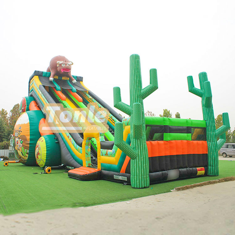 65*33FT Factory customized large inflatable slide