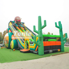 65*33FT Factory customized large inflatable slide