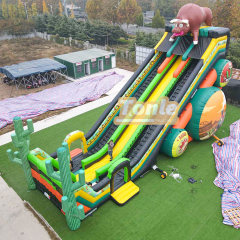65*33FT Factory customized large inflatable slide