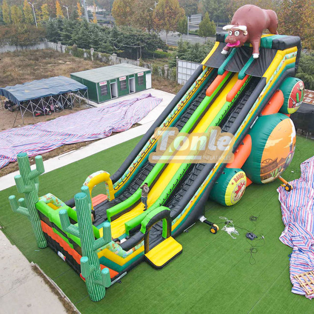 65*33FT Factory customized large inflatable slide