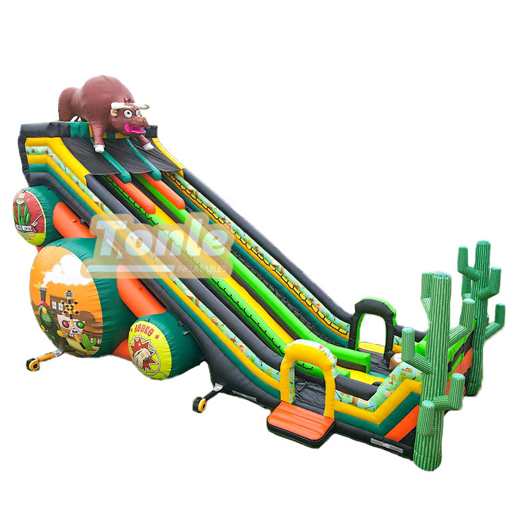 65*33FT Factory customized large inflatable slide