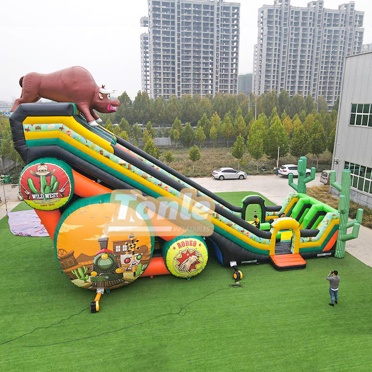 65*33FT Factory customized large inflatable slide