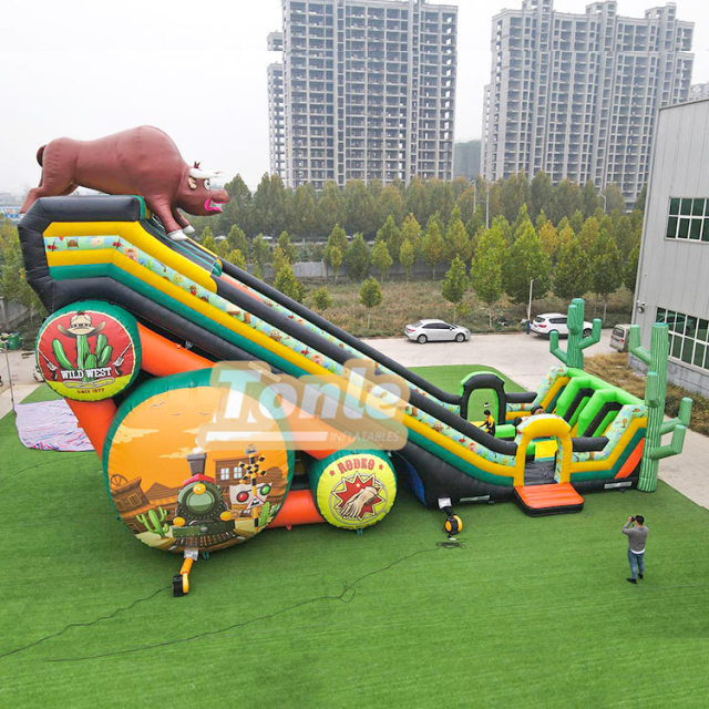 65*33FT Factory customized large inflatable slide