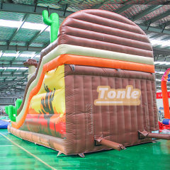 PVC high quality inflatable cactus theme slide