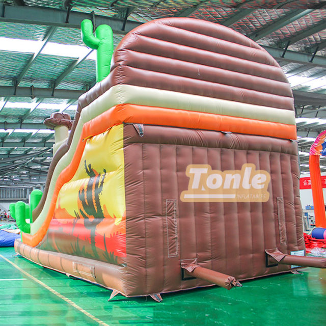PVC high quality inflatable cactus theme slide