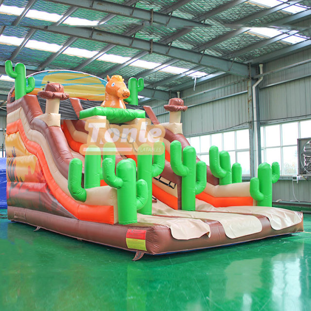 PVC high quality inflatable cactus theme slide
