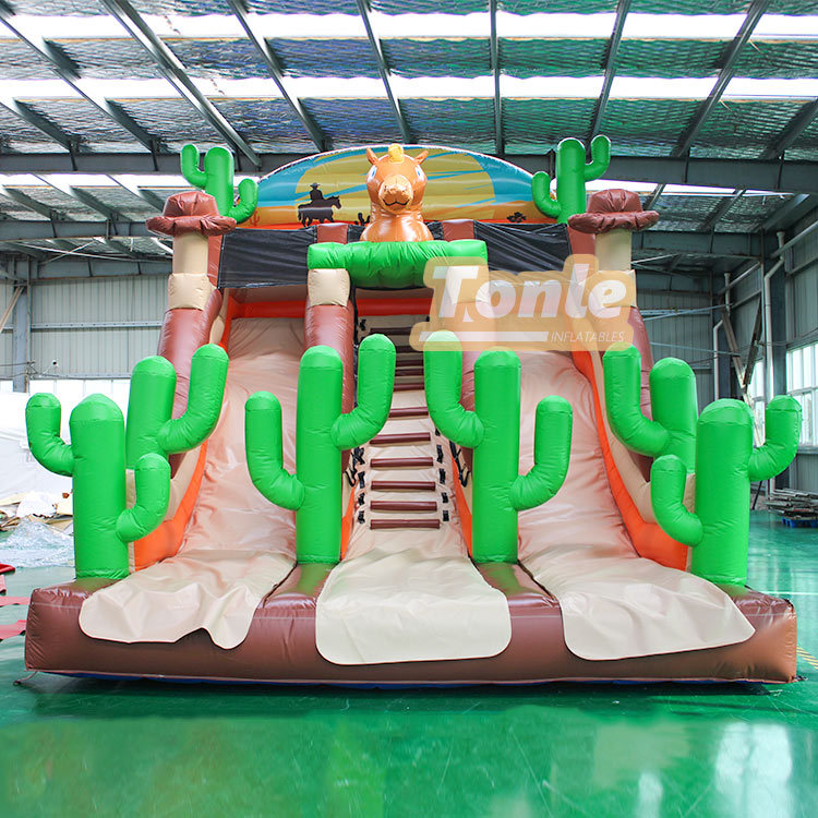 PVC high quality inflatable cactus theme slide