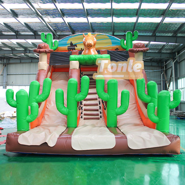 PVC high quality inflatable cactus theme slide