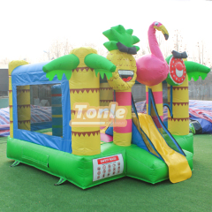 Wholesale Tropical Style Themes theme bouncy castle slide combo
