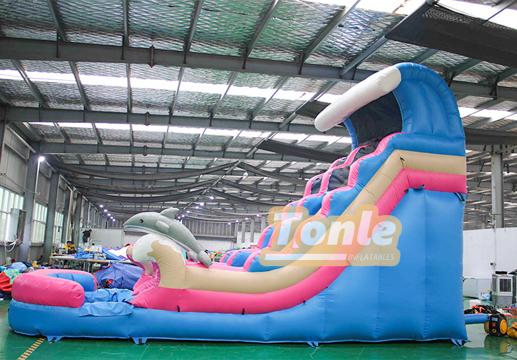 Dolphin Wave Theme Commercial Inflatable Water Slide For Sale