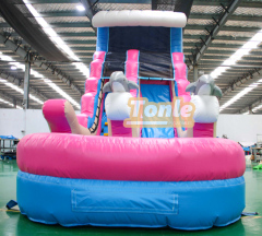 Dolphin Wave Theme Commercial Inflatable Water Slide For Sale