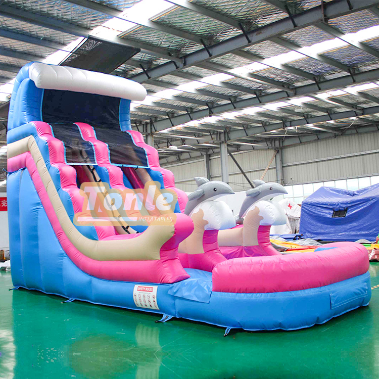 Dolphin Wave Theme Commercial Inflatable Water Slide For Sale