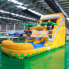 Tropical Palm Tree Themed Water Slide