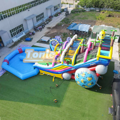 Wet and dry Minion inflatable water slide